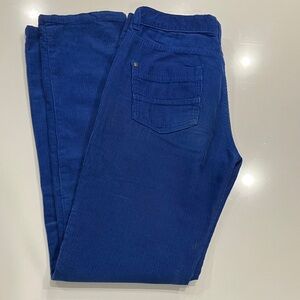 Freestyle Men's Deep Blue Corduroy Pants